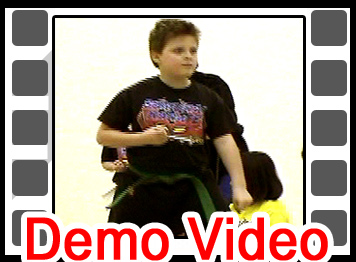 Demo video