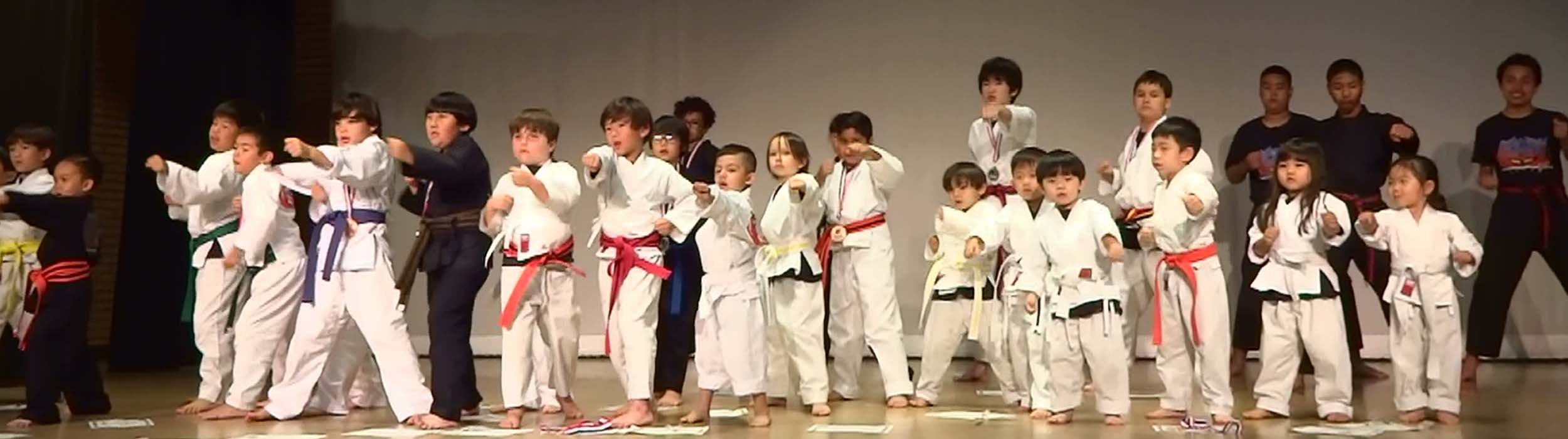 samurai karate for kids
