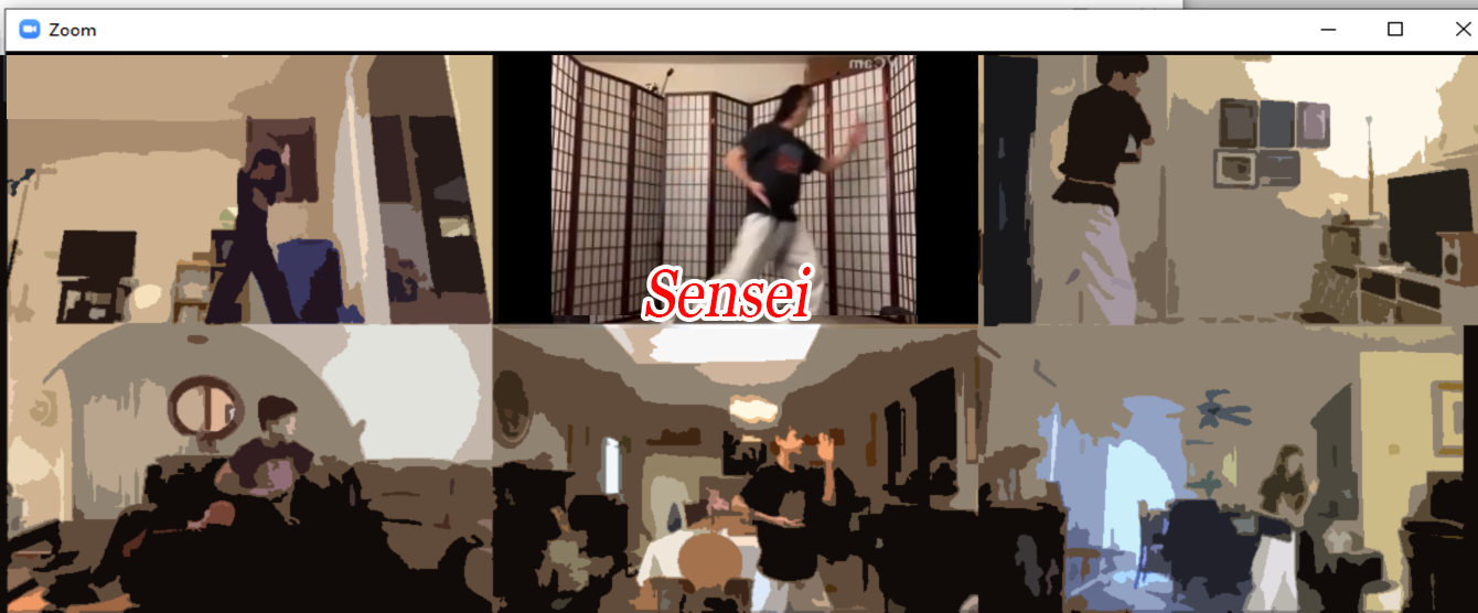 karate online karate online